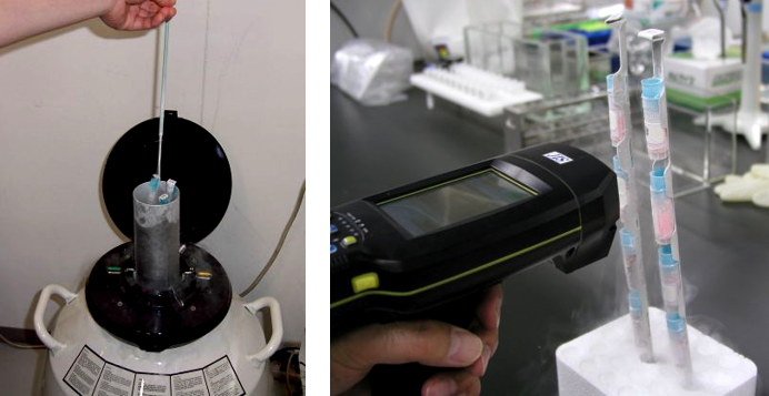 ＜超低温・組織検体読取り実験風景＞